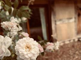 Gästehaus auf idyllischem Fachwerkhof im Dümmer-Weserland, Sauna optional, hotel v destinácii Eydelstedt