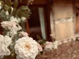 Gästehaus auf idyllischem Fachwerkhof im Dümmer-Weserland, Sauna optional