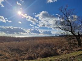 Ferienhaus Köhler am Walde, Urlaub mit Hund, Lütow, готель у місті Lütow