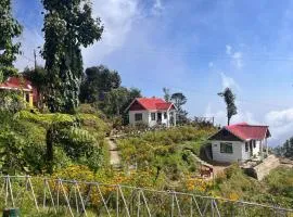 Pine Tree Homestay