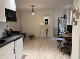 T2 4 pers rénové au cœur du centre historique Place de la Libération