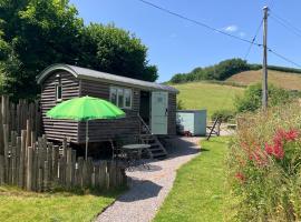 Steam and Stars Luxury Glamping, hotell i Williton