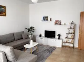 Apartment in the center