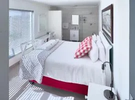 Pet Friendly Bartholomeus Diaz beach