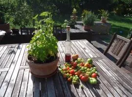 Apartment in ruhiger Lage am Waldrand by Interhome