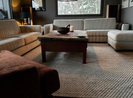 Hemsedal 200m2 /5 sov/10 senger/2 familier, hotel a Torset