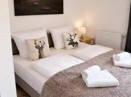 Active Alpin Appartement 1