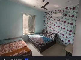 Hotel karishna palace