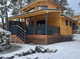 Chalet neuf proche des stations de ski