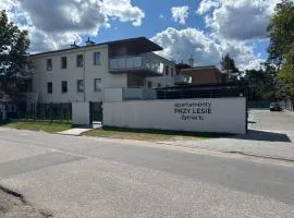 Kobaltowa Przystań - Apartament z Klimatem