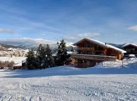 Chalet sur les pistes