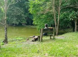 El Cielo Biohospedaje - Refugio Sostenible en la Naturaleza