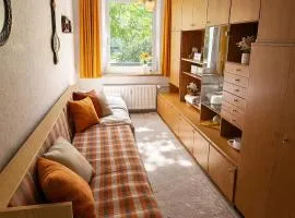 3 Raum Wohnungen in Weißenfels