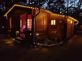 Bungalow in Göhren auf Rügen direkt am Strand