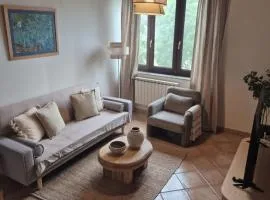 Escuelas de collía D