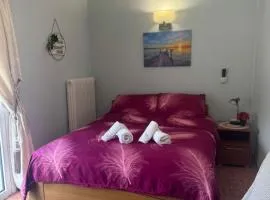 Experience Comfort 5 alfa