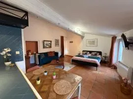 Studio Provençal au centre-ville de Vienne