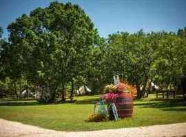 Camping Freedom Istria Pitches