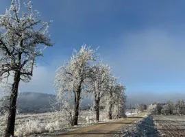 Ferienwohnung Bleicherode