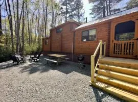 Cozy Coastal Cabin 1