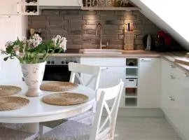 The Attic near the centar Cres