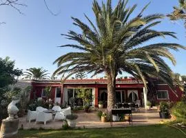 Domaine des Mimosas