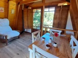 Cabin in a peaceful environment