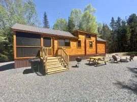 Cozy Coastal Cabin 4