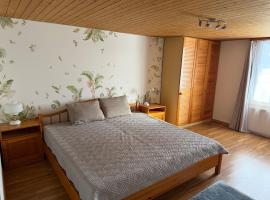 charmante 3,5 Zimmer Wohnung im Bauernhaus, Hotel in Volketswil