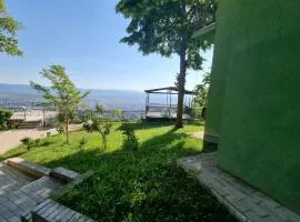 Hillside Tbilisi Villa