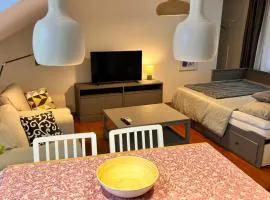 Samobor Old Town Studio by the River