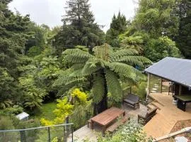 Gully-view studio by the CBD