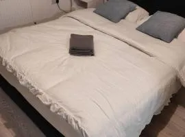 Lamar House for guests