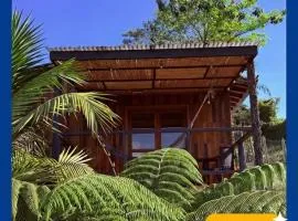 San José de las bromelias