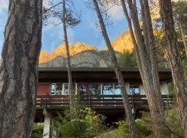 Chalet di design vista Pelmo - Chalet dei Brisi