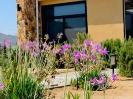 Flor de Garambullo, Valle de Guadalupe