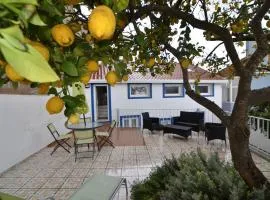 Setubal Courtyard Houses - PAINTERS HOUSE