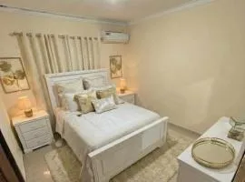 Super Apartment 10 mn to the Int Airport
