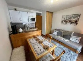 Charmant 2 pièces au bord du lac de Vonnes avec terrasse - FR-1-198-281