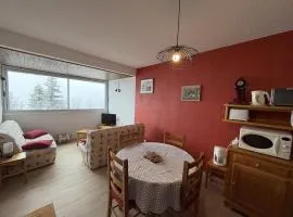 Bel Appartement T3, Rénové, 2 Chambres, Ski à 200m - FR-1-787-145