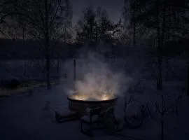 Chez-Nous Äänekoski, Sauna & Jacuzzi, Northern Lights