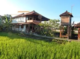 Alamanda Family Villas, Pool & Local Tours