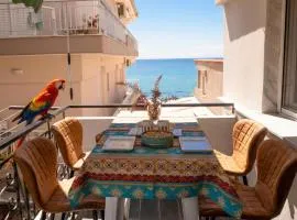 Parrot Palazzo