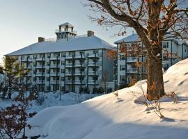 Residence Inn by Marriott Gravenhurst Muskoka Wharf, vie&scaron;butis su sūkurinėmis voniomis mieste Greivenherstas