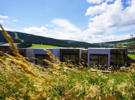 Klinak horsky dum 140, Hotel in Loučná pod Klínovcem