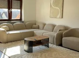 Modern apartment near Basel & airport