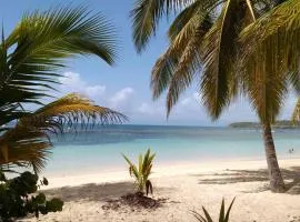 Centre Ste Anne plage & commerces à 200m