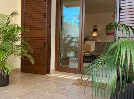 Kite Village Solaris