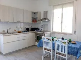 House Blu Cogo by Holiday World