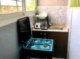 Appartement CENTRE VILLE